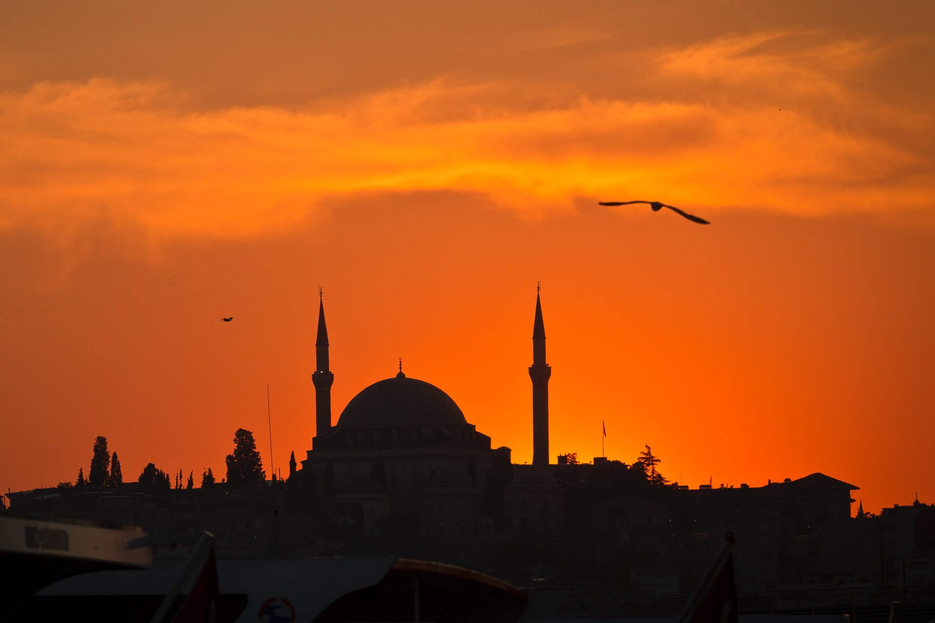 ما حكم خروج المذي بشهوة في نهار رمضان